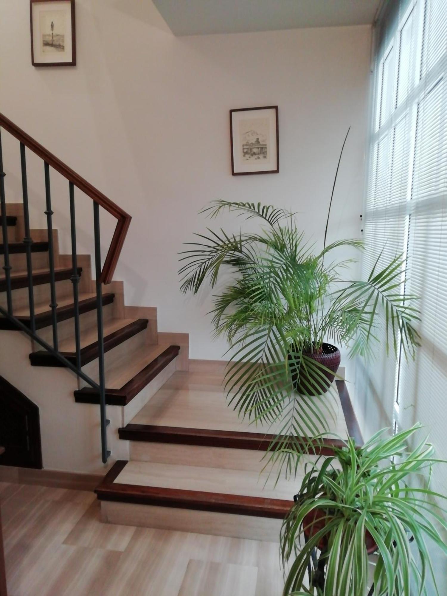 Priego de Córdoba Casa Caballero De La Rosa מראה חיצוני תמונה